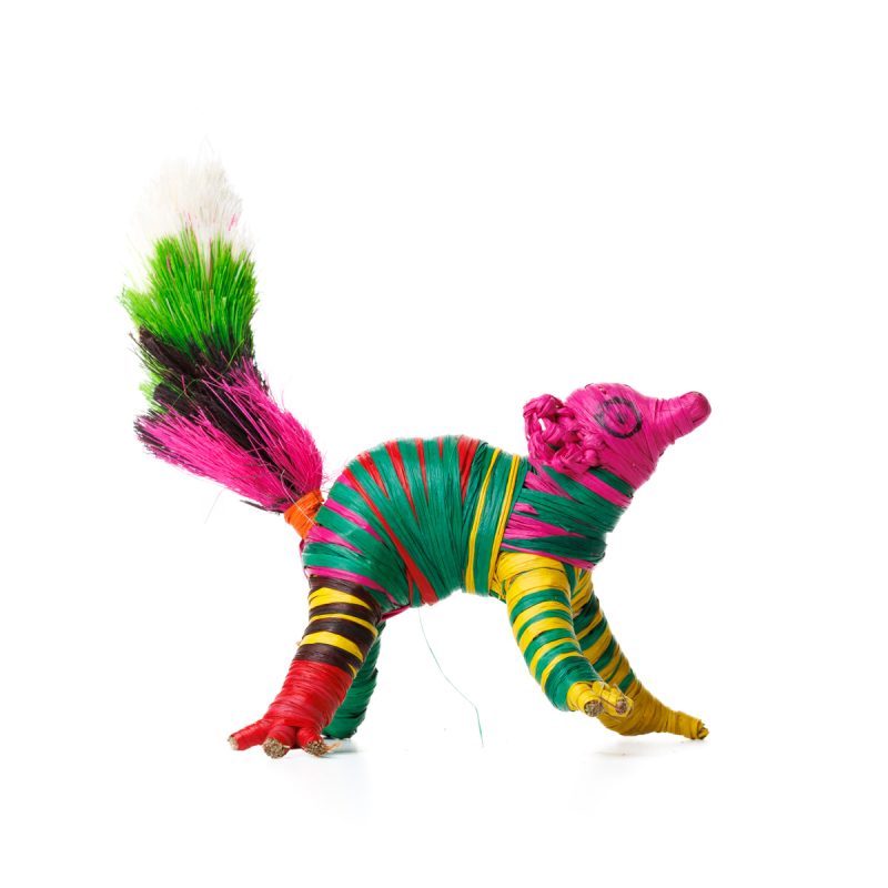 Lemur z rafii w kolorach tęczy